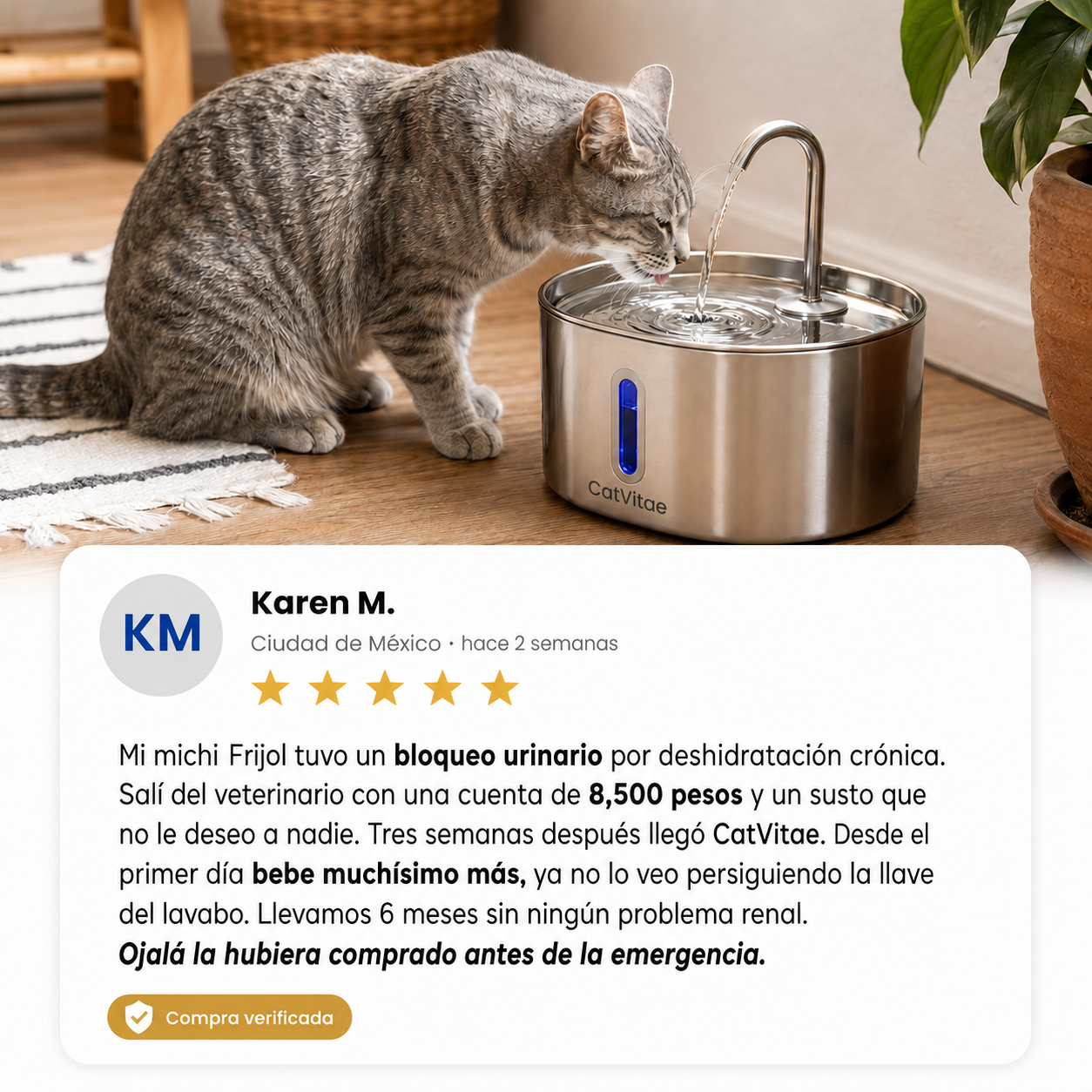 Hidrata a tu gato y previene los problemas urinarios con CatVitae™