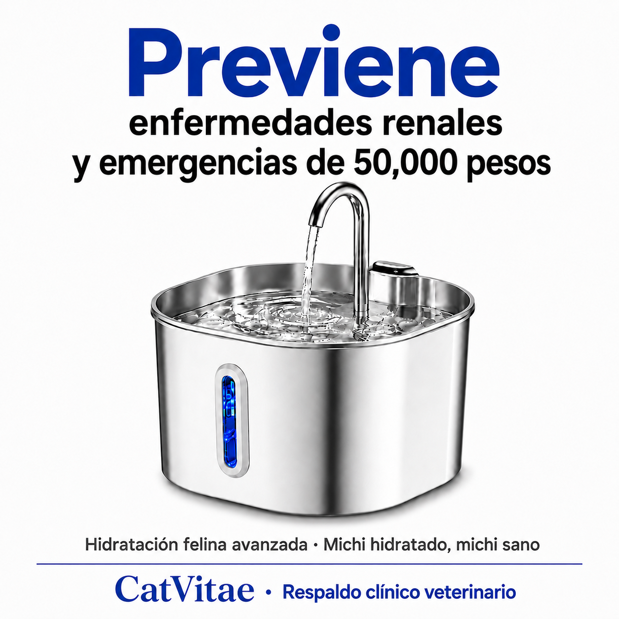 Hidrata a tu gato y previene los problemas urinarios con CatVitae™