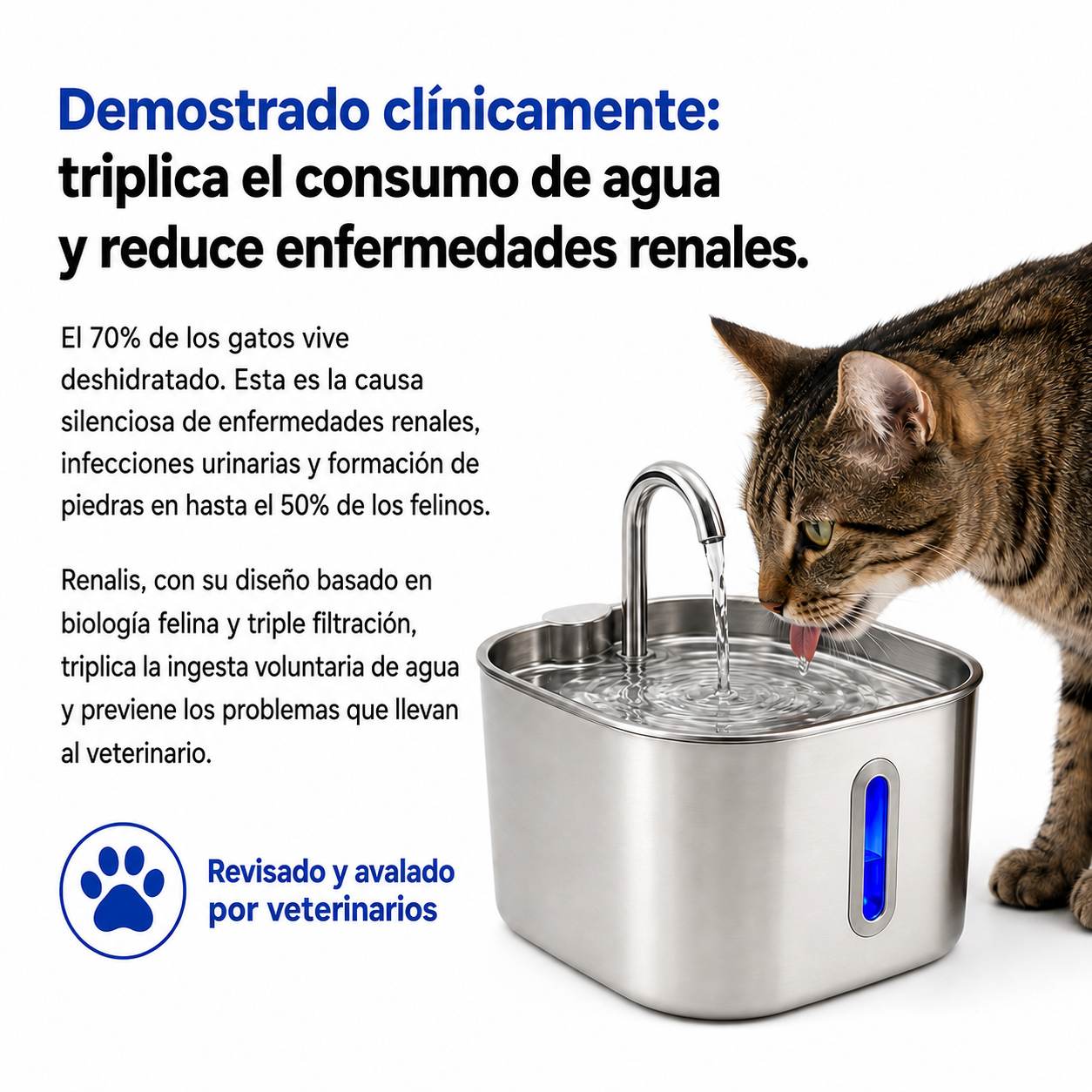 Hidrata a tu gato y previene los problemas urinarios con CatVitae™