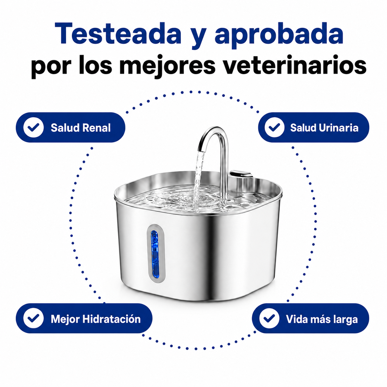 Hidrata a tu gato y previene los problemas urinarios con CatVitae™
