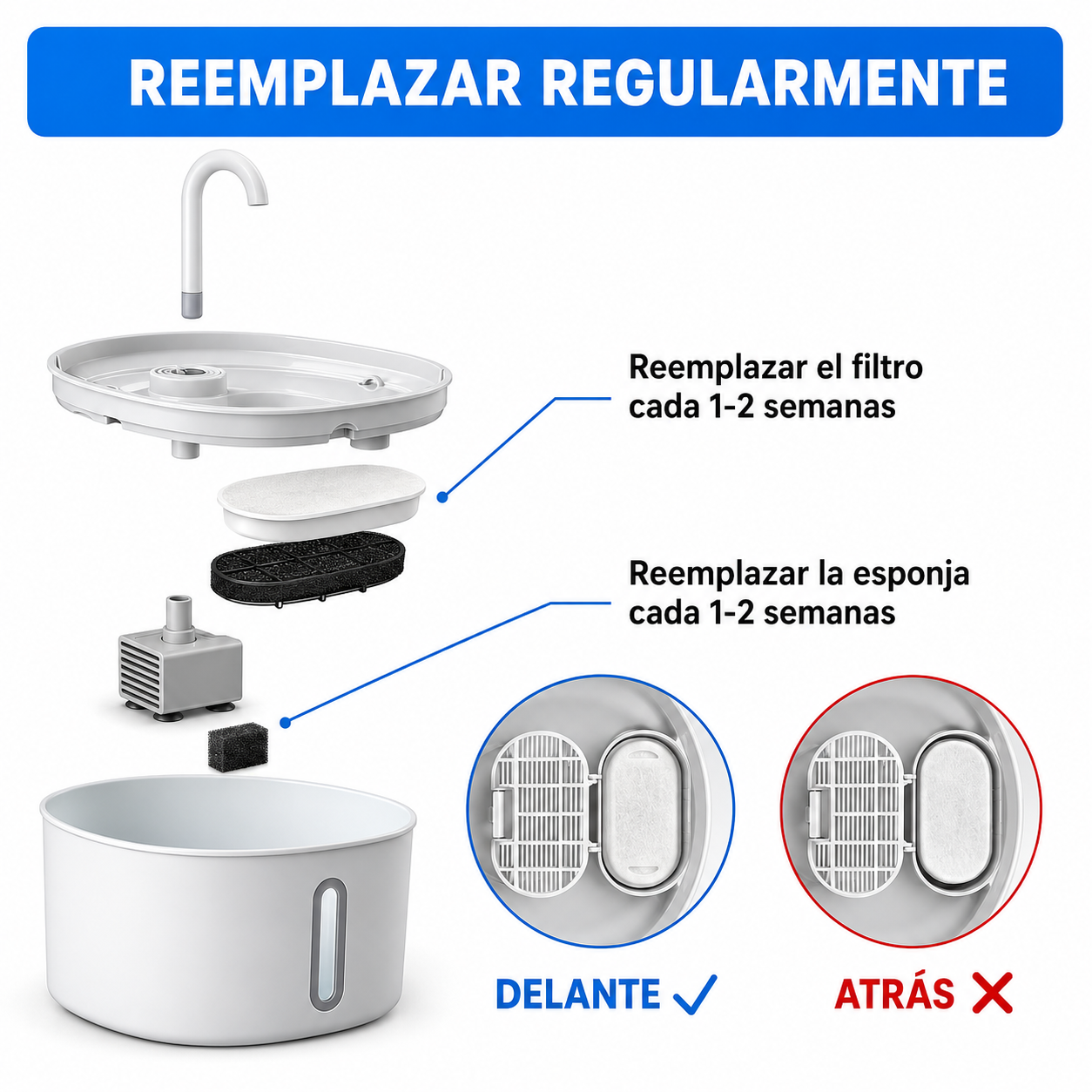 Recambio Filtros Protectores para Fuente CatVitae™